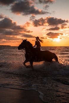 pexels-photo-8699090-8699090 A silhouette of a woman riding a horse through ocean waves during a stunning sunset.